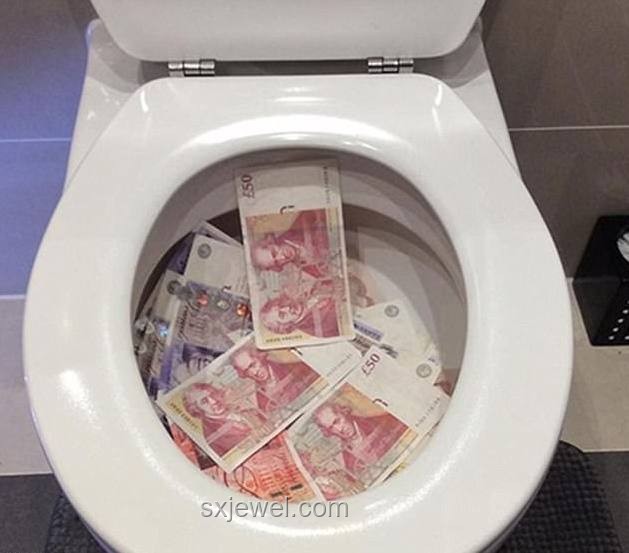 480万英镑金马桶失窃案：两名案犯获刑深度对比
